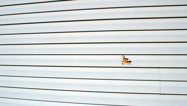 Reliable Kearny, NJ Siding Installation & Repair Solutions