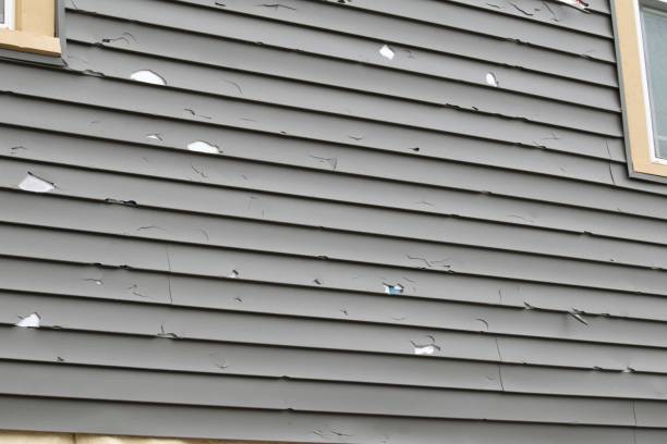 Best Custom Trim and Detailing for Siding  in Kearny, NJ